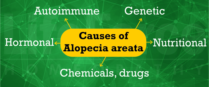Causes for alopecia areata